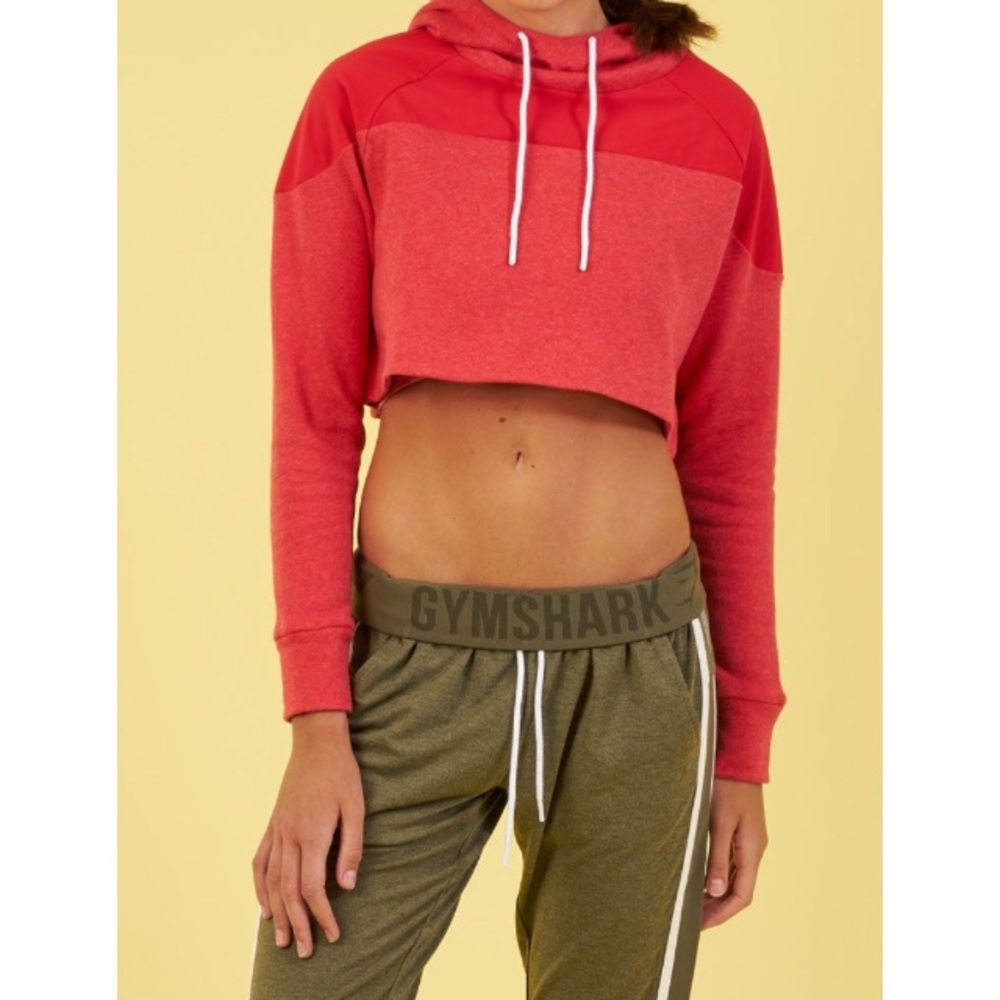 Nikki B cropped hoodie